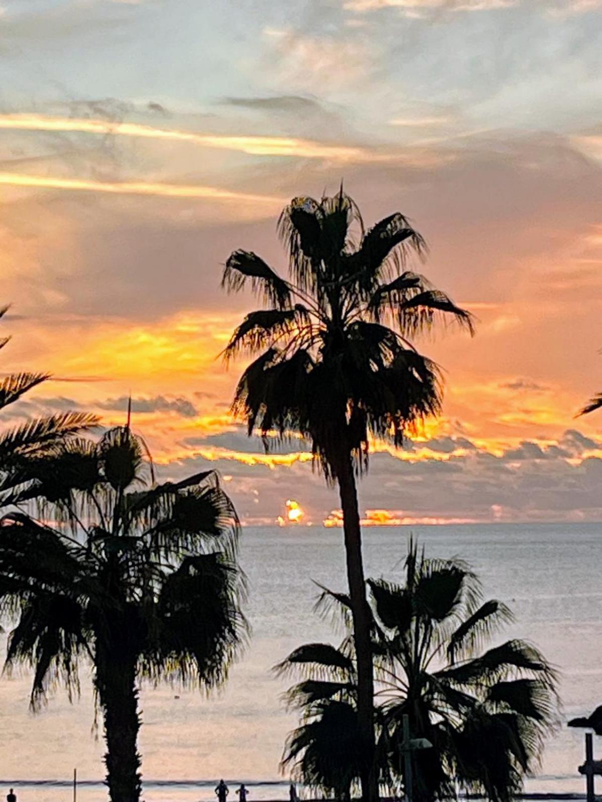Las Americas - Garden City アデヘ エクステリア 写真