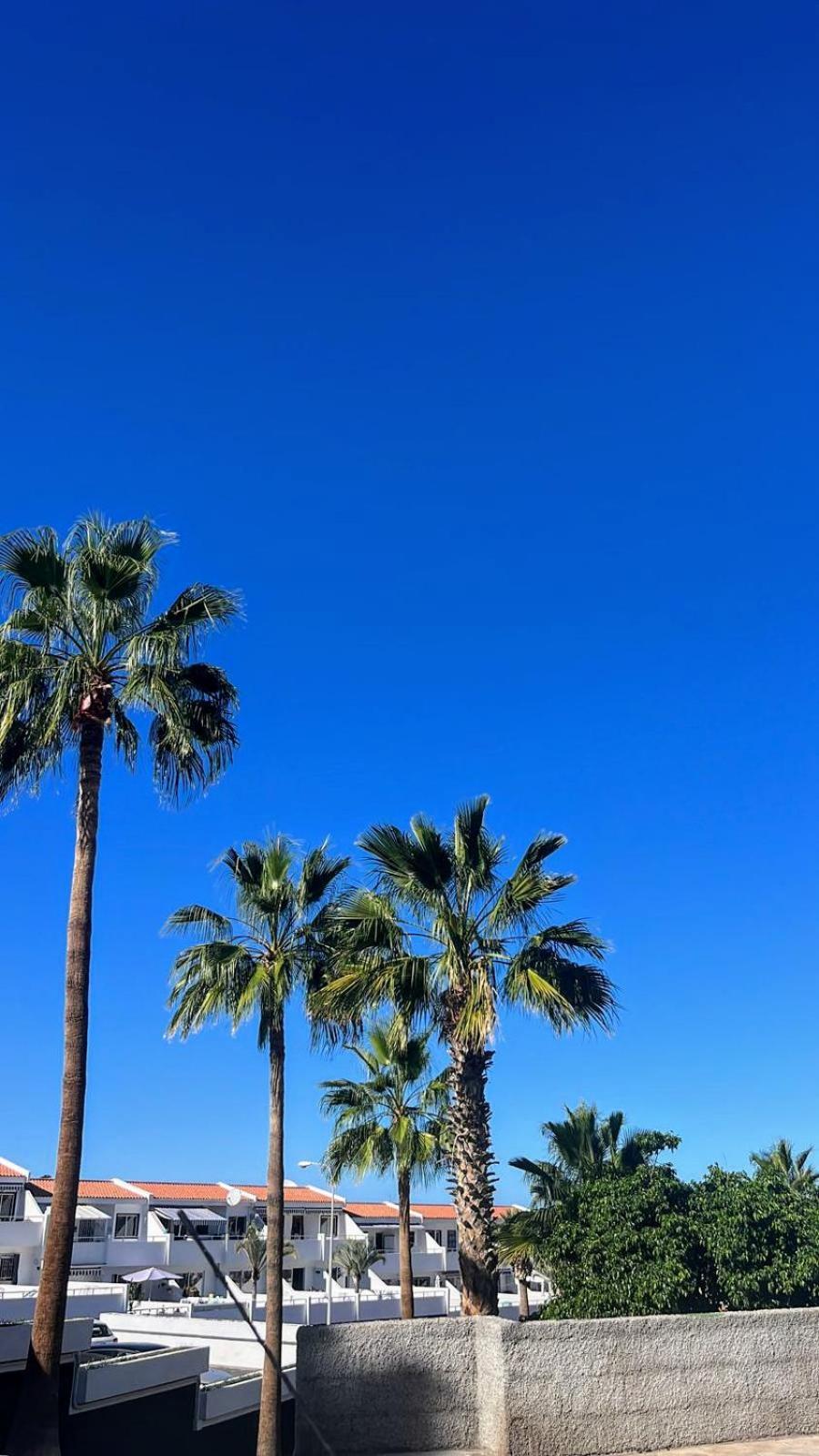 Las Americas - Garden City アデヘ エクステリア 写真
